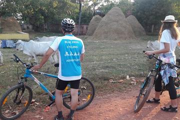 Countryside Bike The Learning Skills