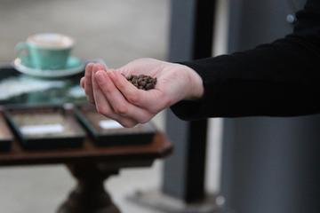 Taste Wellington Privately Hosted Walking Tour with Lunch for Passionate Foodies