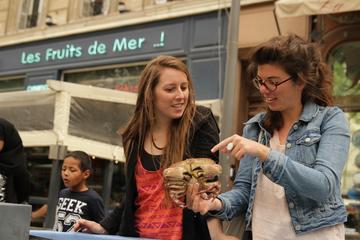 Walking gourmet tour