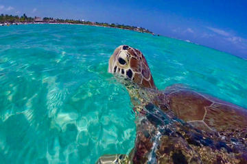 St John Snorkel Tour aboard New Horizons and Breakaway Charters