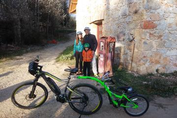 Electric Bike Parnitha Mtn Tour - Athens National Park