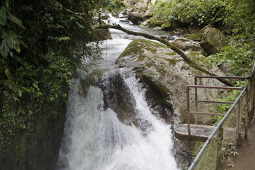Mindo Cloudforest and Birdwatching from Quito