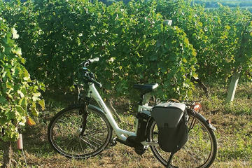 Full day Valpolicella bike tour with tasting