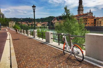 Panoramic E-Bike tour of Verona with Lunch