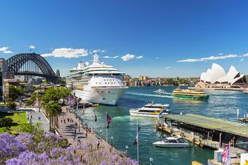 Bespoke Sydney Sider