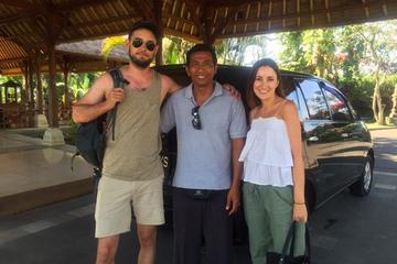 Private Arrival Transfer: Bali Airport to Ubud Area