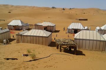 Desert tour 4 days from Casablanca to mhamid zagora