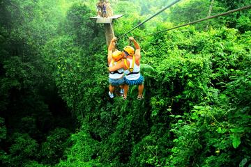 Rainforest Canopy Zipline Adventure from Pattaya