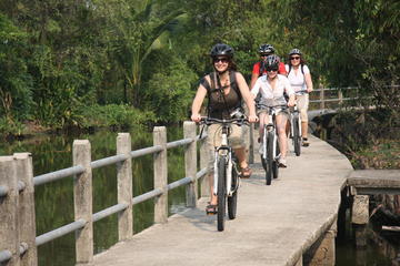 Shore Excursion: Bangkok Jungle Tour by Bicycle from Laem Chabang