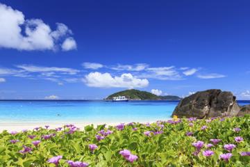 Similan Islands Speedboat and Snorkeling Day Trip from Phuket