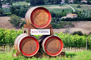 Chianti Classico Wine Tour from Pisa