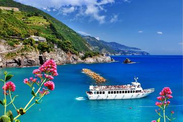 Cinque Terre Small-Group Tour by Minivan from Pisa