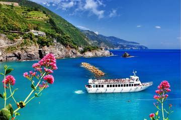 Cinque Terre Tour Small Group Tour by Minivan from Lucca