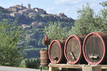 Lucca Montecarlo and Wine Tour by Minivan from Pisa