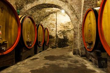 Shore Excursion: Private Chianti Classico Tour with Lunch from Livorno