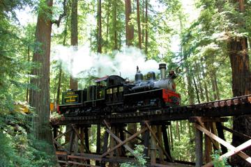 Day Trip Roaring Camp Steam Train Through Santa Cruz Redwoods near Felton, California 