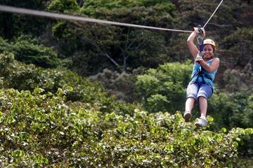 Apaneca Zipline Adventure with Optional Flowers Route Tour