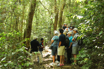 Full Day Tour to The Izalco, The Santa Ana and Cerro Verde Volcano, Lake Coatepeque, Joya de Cerén and San Andrés Ruins