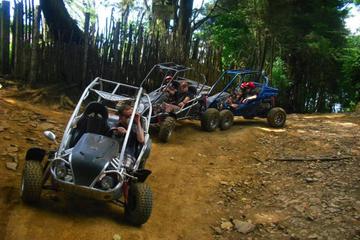 Laguna Verde Dune Buggy Adventure with Optional Flowers Route Tour
