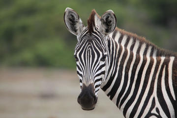 GARDEN ROUTE TOUR 5 DYS