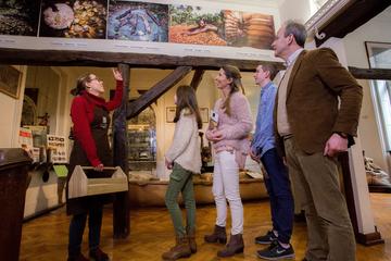 Choco-Story: The Chocolate Museum in Brussels