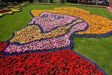 Private Keukenhof Gardens and Tulip Fields Tour from Amsterdam