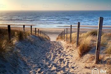 Private Transfer from Amsterdam to Zandvoort