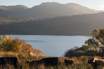 Glasgow, Loch Lomond, Loch Katrine and Doune Castle - Spanish Tour Guide