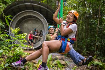 Cape Tribulation Jungle Surfing Canopy Tour