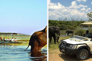Chobe Day Trip from Victoria Falls