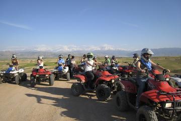 Marrakech Palmeraie Half-Day Quad Bike Experience