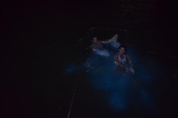 Luminous Lagoon