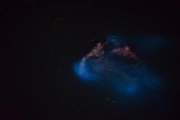 Luminous Lagoon