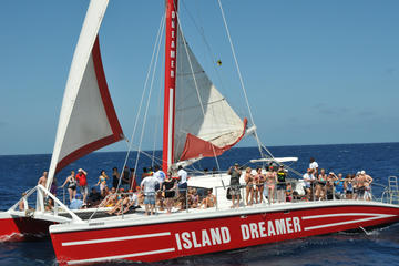 Tropical Dreamer Catamaran Snorkelling Cruise