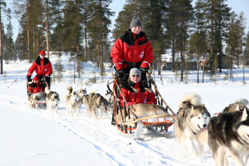 Lapland Christmas Family-Friendly Husky Sled Ride from Rovaniemi