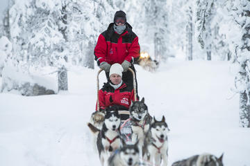 Lapland Husky Sled Ride from Saariselkä