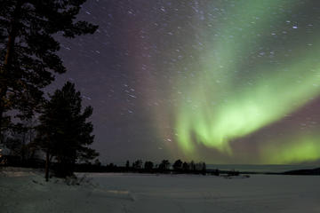 Lapland Northern Lights Adventure from Rovaniemi Including Sausages over Campfire