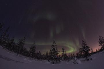 Lapland Northern Lights Safari by Reindeer Sleigh from Saariselkä