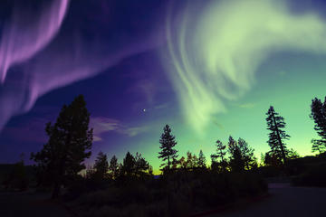 Lapland Northern Lights Snowmobile Safari from Levi