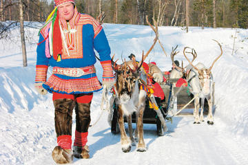 Lapland Reindeer Sleigh Ride from Saariselkä