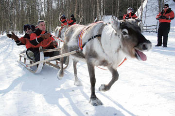 Lapland Reindeer Sleigh Ride to Santa Claus Village from Rovaniemi