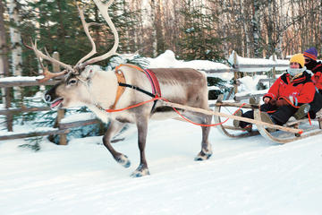 Lapland Snowmobile Safari from Ylläs Including Reindeer Sleigh Ride