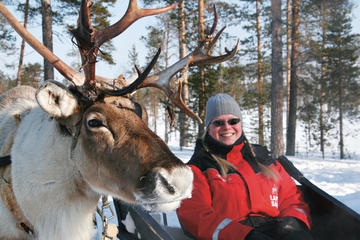 Lapland Snowmobile Safari to a Reindeer Farm from Rovaniemi