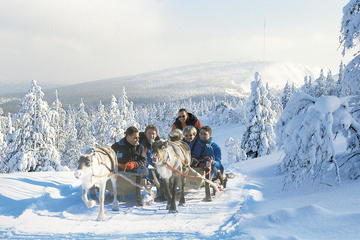 Lapland Snowmobile Safari to a Reindeer Farm from Saariselkä Including Reindeer Sleigh Ride