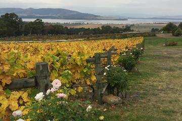 Mona and Wine Experience Tour