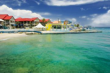 Grand Cayman Shore Excursion: Island Sightseeing Tour by 4x4