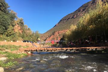 Full day trip to Ourika Valley and Atlas Mountains from Marrakech