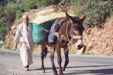 Ourika Valley Half-Day Trip from Marrakech