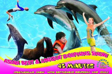 Dolphins Bay Phuket Admission Ticket