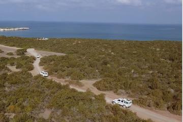 Safari Tour to Akamas Peninsula from Limassol Town